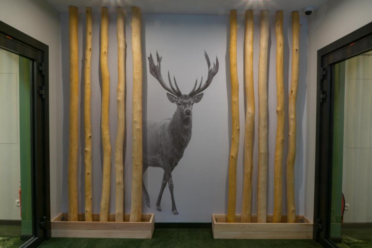 Turmalin Apartamenty Świeradów-Zdrój エクステリア 写真