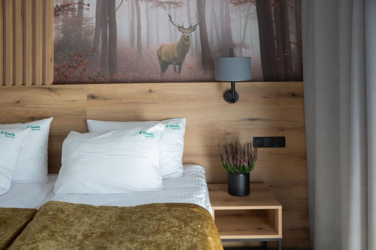 Turmalin Apartamenty Świeradów-Zdrój エクステリア 写真